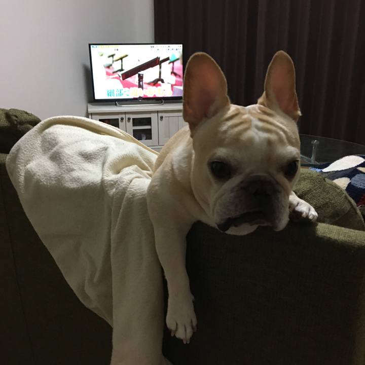 53bfda74 420d 4534 b53e ac03d6d688a7