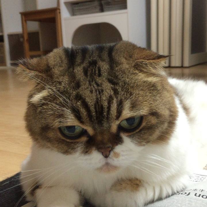 53bff589 6fe7 433f 98f3 1489207e7583