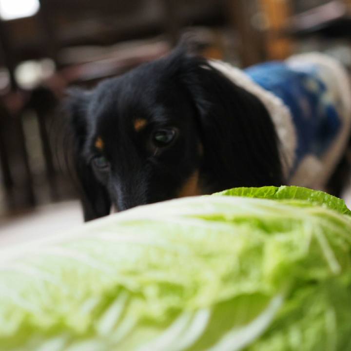 53c03751 23cb 4f1b a7fb a6d8b2fe1f0f