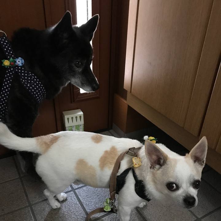 53c04010 b466 43b5 aaa3 ba00dbcd7bca