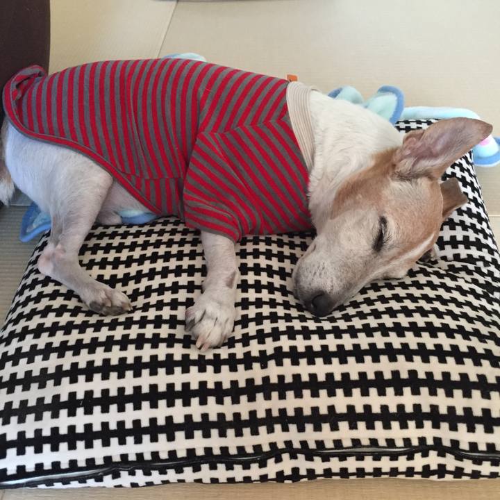 53c0e053 8049 4e1a beb6 ba42add60272