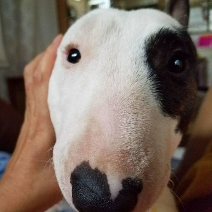 53c10548 7e35 4070 8b56 55f30261f0d3