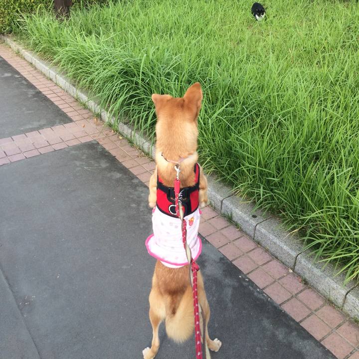 53c1fe7c 960e 4265 811e b86f2c55c5e5