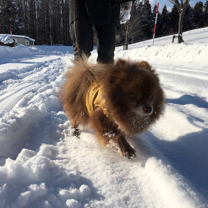 53c1ff3c c7f5 433e ab97 bbf73212a596