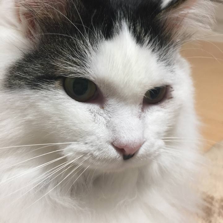 53c209c9 56c6 41ee bfc6 a673912ca5e8