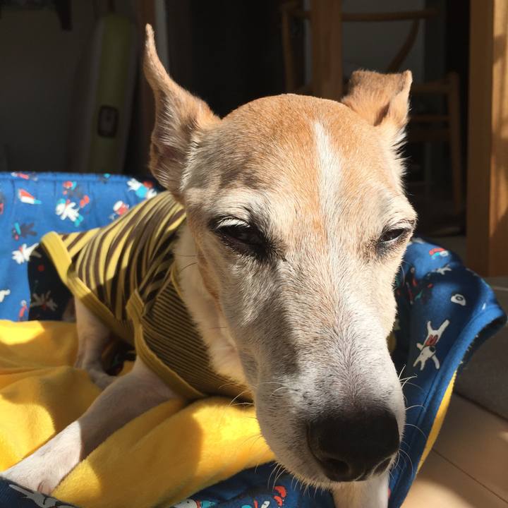 53c26d04 ce3a 4d26 b66c 7b836bae06e9