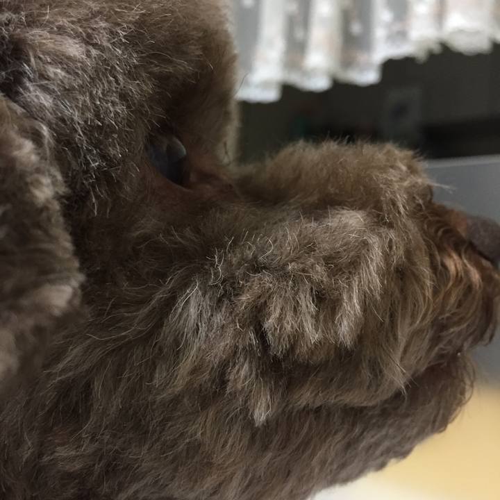 53c2e2f0 1200 4ddf ba10 c305947599c3