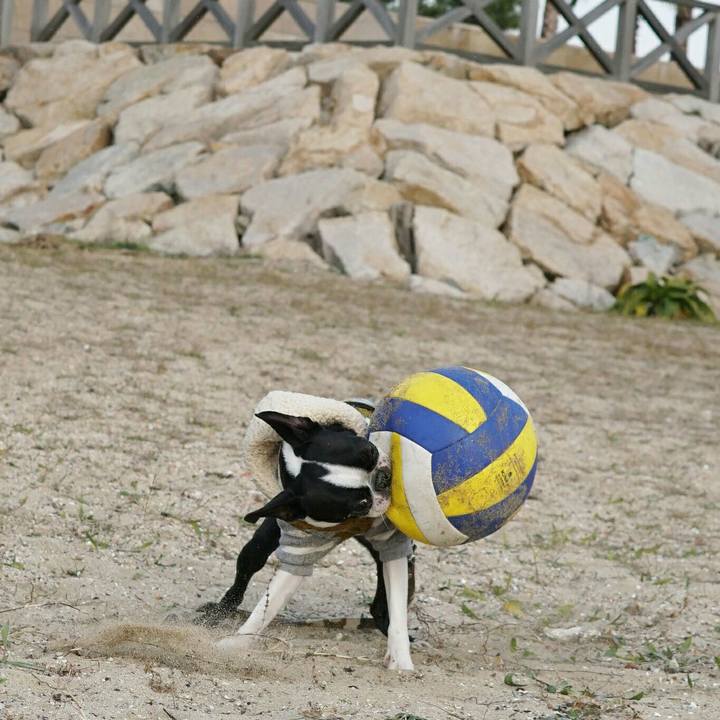 53c342ac b3c5 48f3 96f0 47d058ff5aed