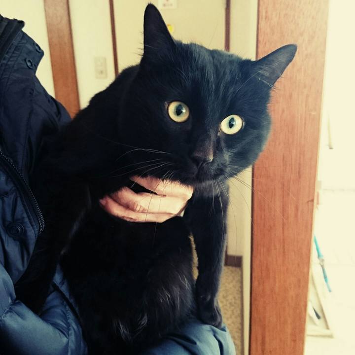 53c35605 4802 4359 bd41 7d998a1f4a6c