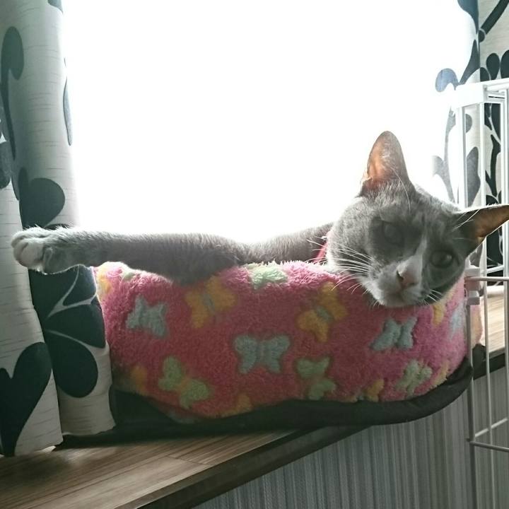 53c3a22a 2174 45cd 91eb b359c0f6d85f