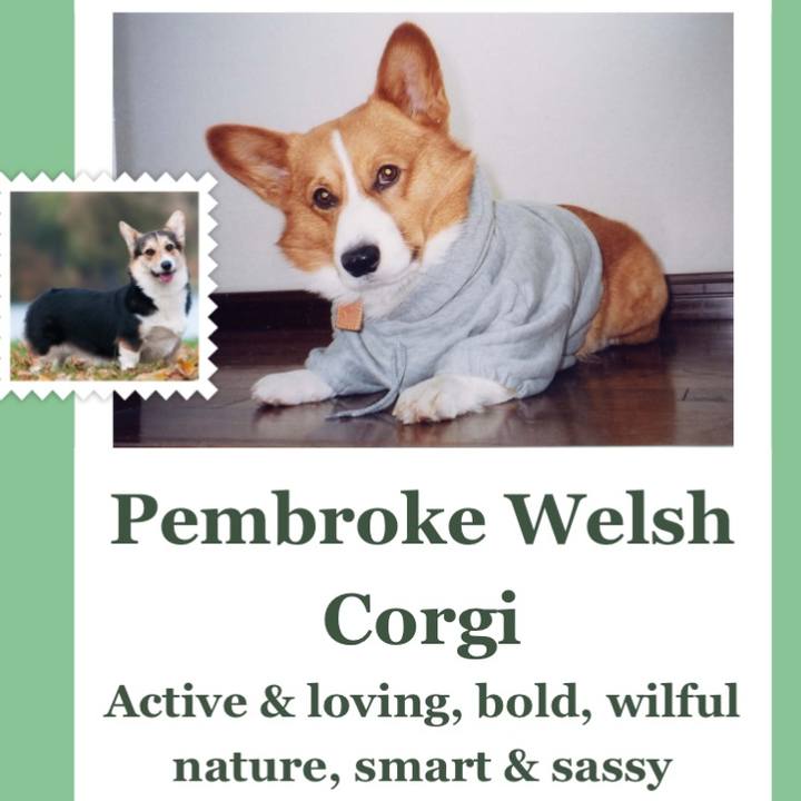 53c428fb d1ff 415a 99ad 1020595d7bb0