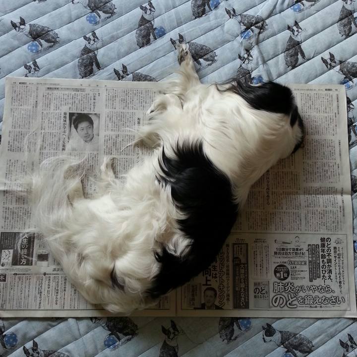 53c4d1d1 dcd9 4357 8a09 e19a5f425b1e