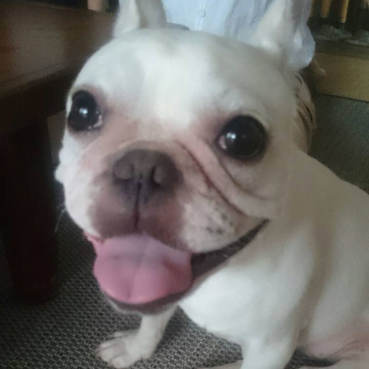 53c4d474 cb86 4a4f b0af 16d4ec6b5a56