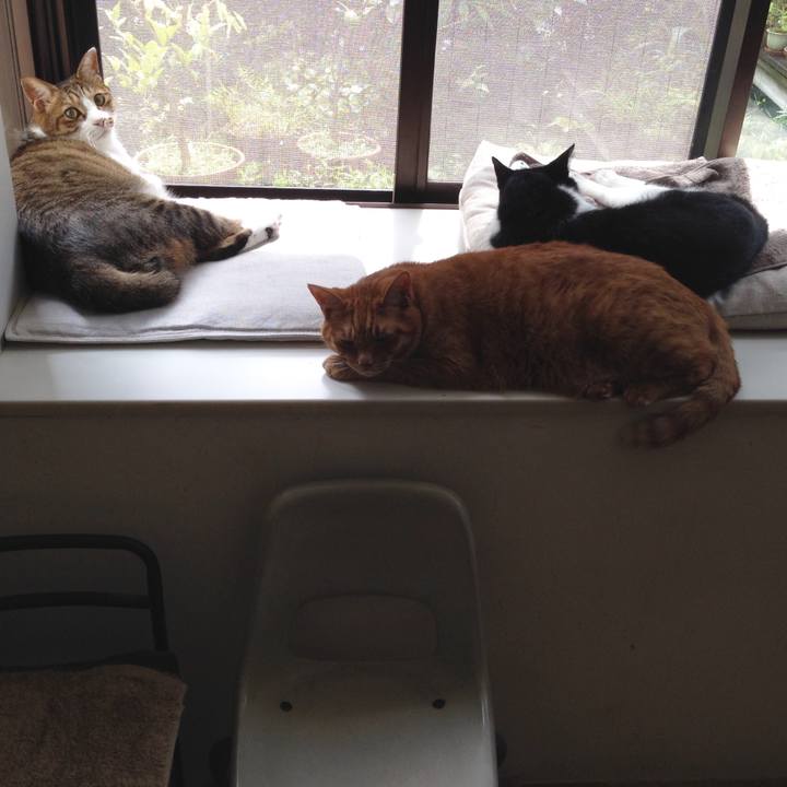 53c50a67 6ee1 46aa 8d38 c28917d3d2ce