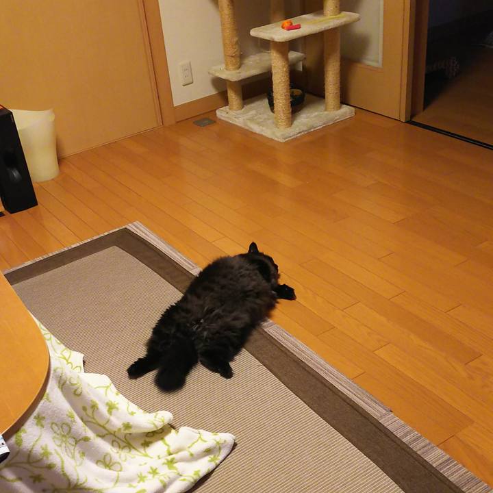 53c586af 3f6f 44a7 8a94 35c12088043a