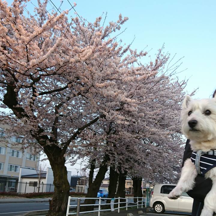 53c6b3cc 240e 4bbb a91c 5872ceda018d