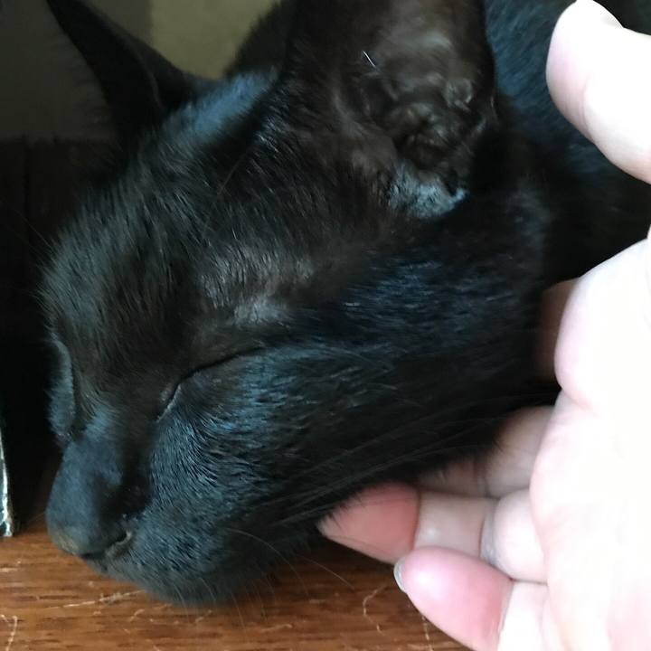 53c6cc11 3a50 4474 8adc bfad09d217e0