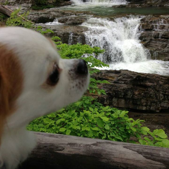 53c6f01b b7e7 4c7f 8fd5 fec89d7a0c5e