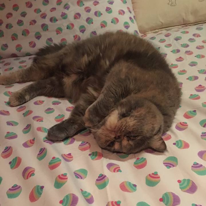 53c7016a cb53 4c7d 87c3 2eff52aded58