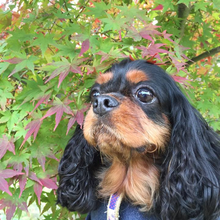 53c70762 b148 423b ac08 c939e1b4e153