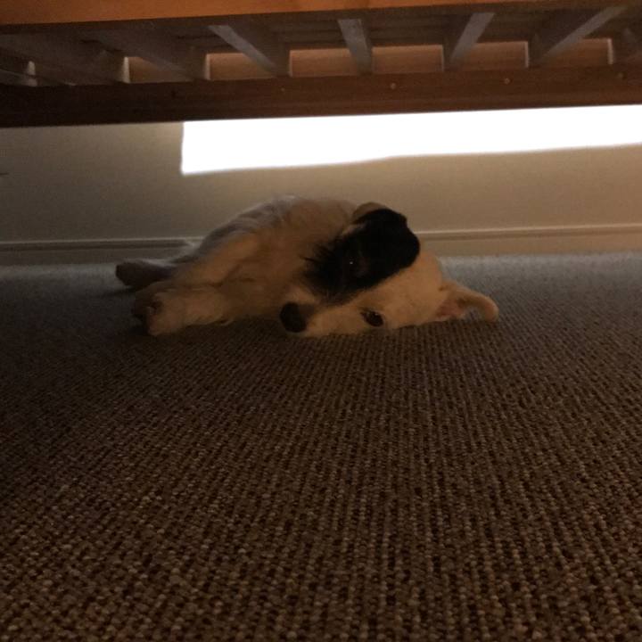 53c7652e 0179 46e4 94b7 e4286492d30f