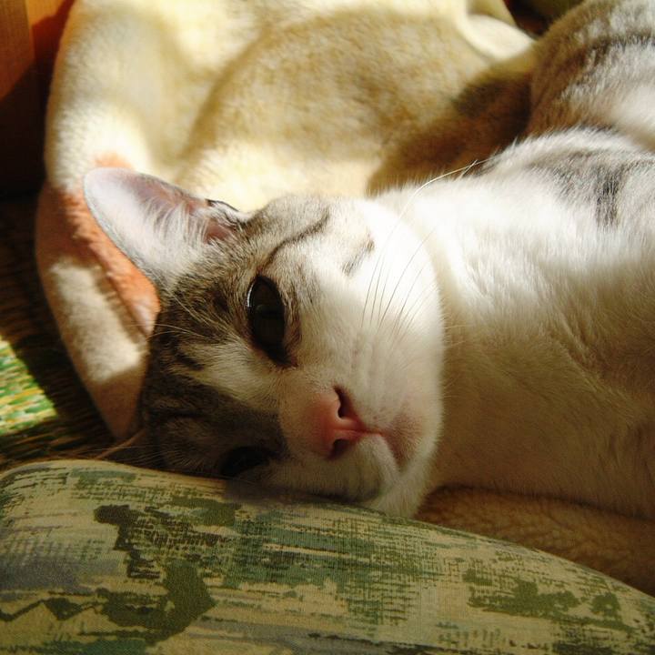 53c789be d8b5 4afd ad61 88db1e65d66a