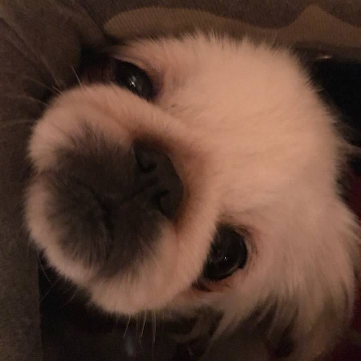 53c79f19 6e2e 4371 8b2a df2c2cc928cd