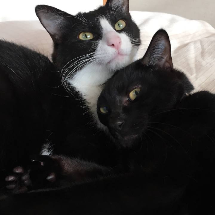 53c854b1 c623 4dd1 a62b c1bdc327736b