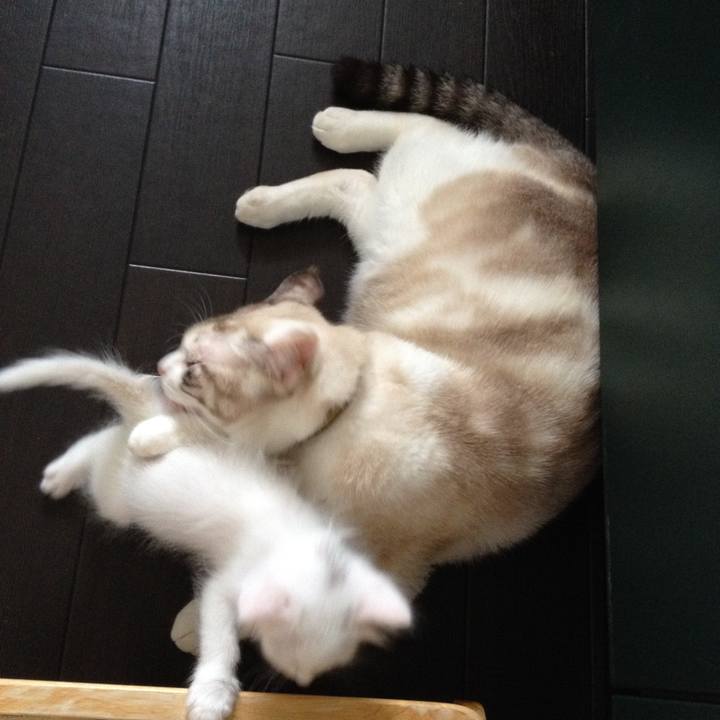 53c8a492 5f6f 4753 95a1 e15875b7df0a