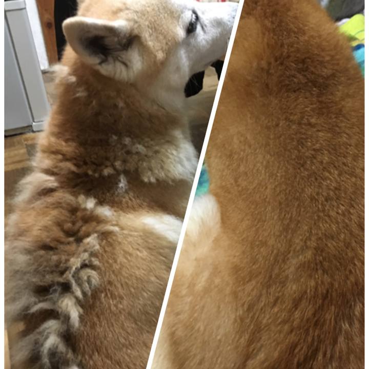 53c8bb7a 4e9f 4395 9e2e 98f1221c47aa