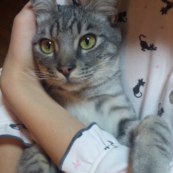 53c8ef22 017b 4478 b7f8 dcc656d5c4e4