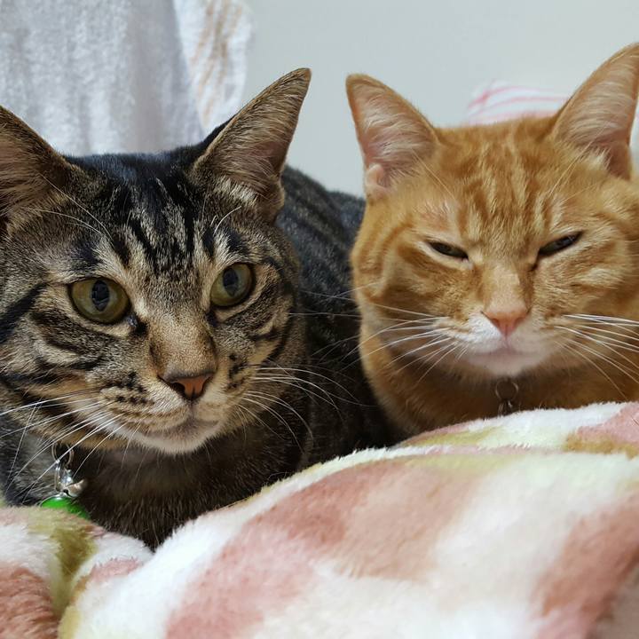 53c91695 8d84 4b06 a50a 6f5262f4a803