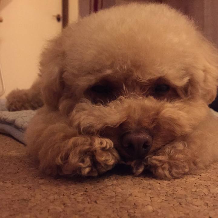 53caedc4 3437 47b5 b1b4 ec2cf70cad4d