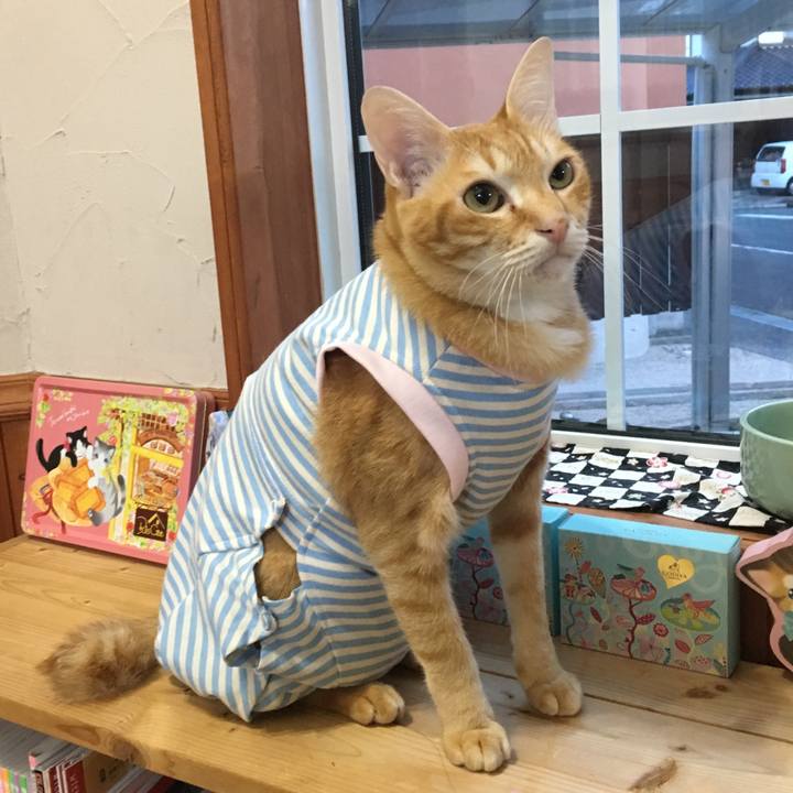 53cb6502 3174 4974 9d95 21b60b538a4f