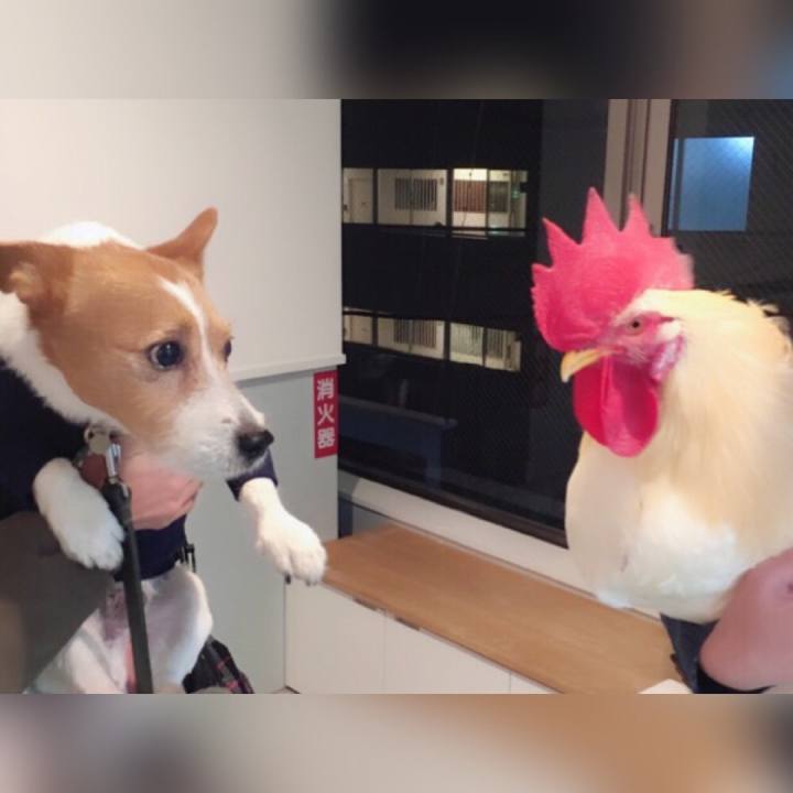 53cba386 fd08 4843 9fe7 c50312d0ca92