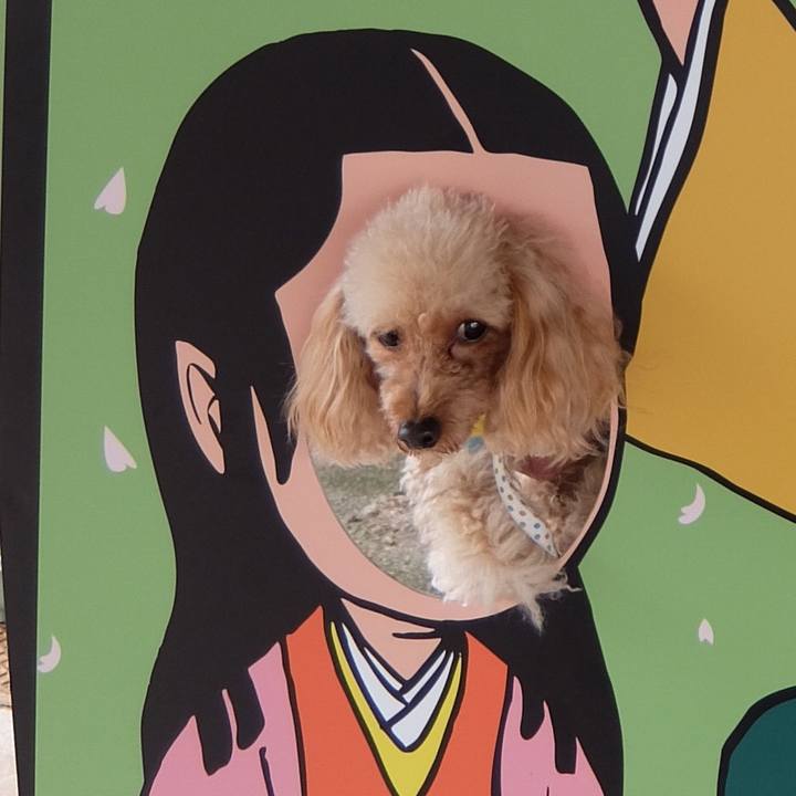 53cbd93b 5938 4ea9 a085 c6672d58d3a2