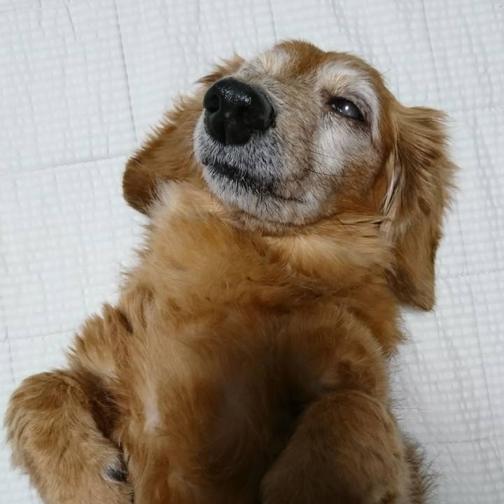 53cbe726 20b1 4f93 9d85 dac88af20ced