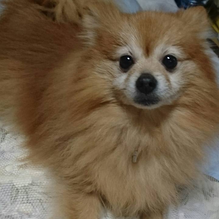 53cc0a68 2d54 4e8f a722 84084c7c4514