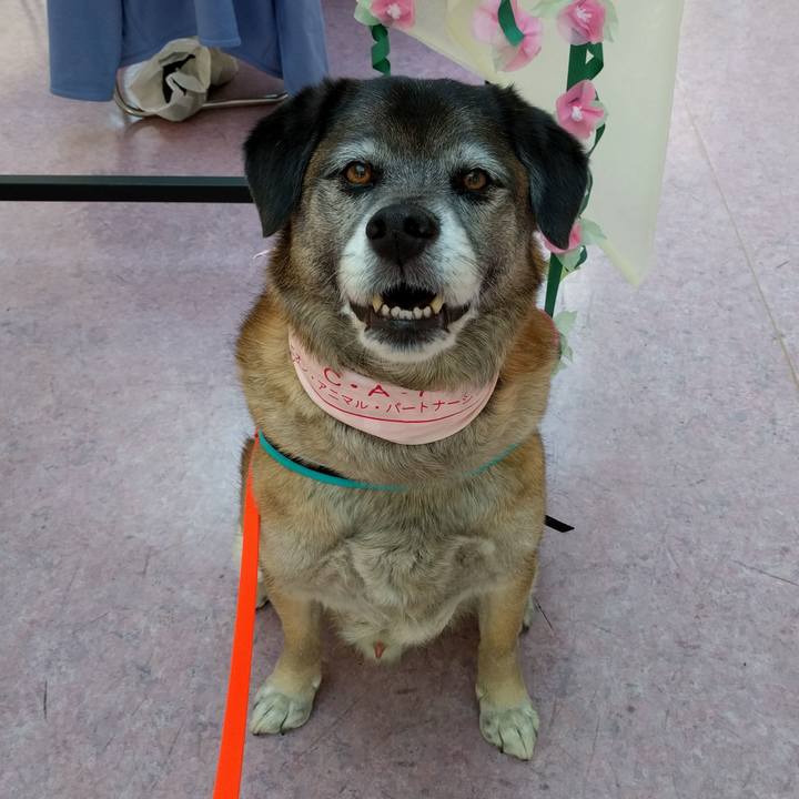 53cc66c1 95b4 4cb4 ad67 54979a4ca332