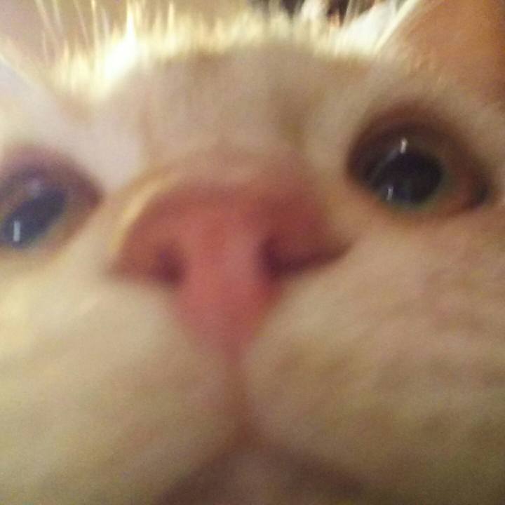 53ccf13f 211d 416c bf4b 4dd2c9926267