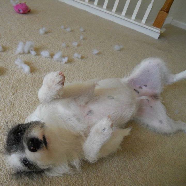 53cd52a1 8a1e 43a9 9d83 c28810232308