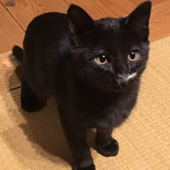 53cd7347 e198 448f a6c4 59f1bb218d6c