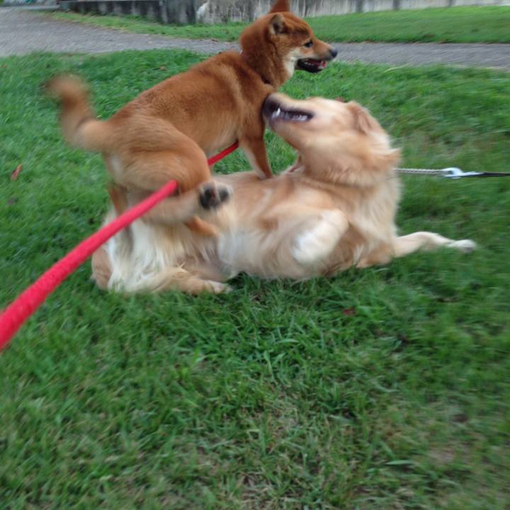 53cebaa3 1693 4c60 9cc4 84d477c2df36