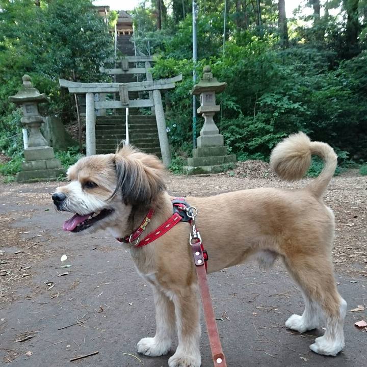 53cf1b5f 6b44 438a 985b 08f901dcb433