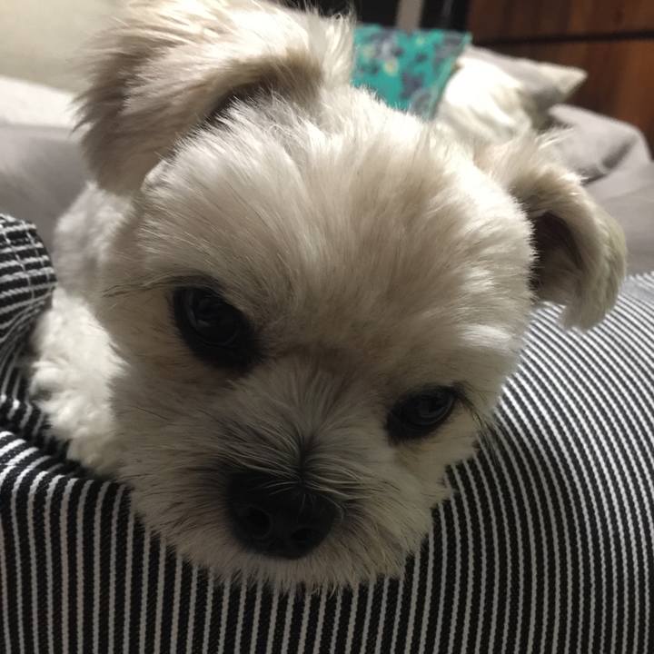 53cf23d4 6cbd 44aa 816c 2ffdad8020d4