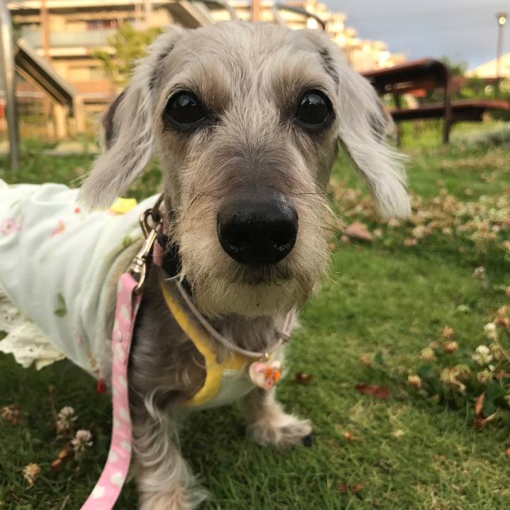 53cff02c c0c4 4a94 a340 93ef0bffd2ac