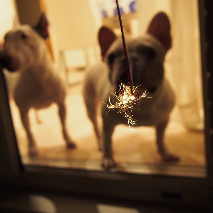 53d0b524 6623 4e5d 824f 8945af5e1d41