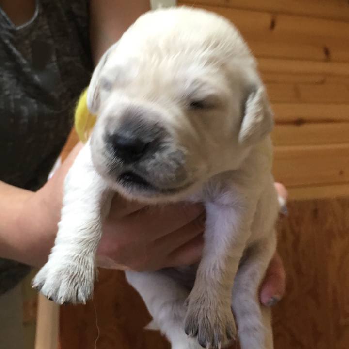 53d0c25a 4cdf 48a4 911e b8851993534e