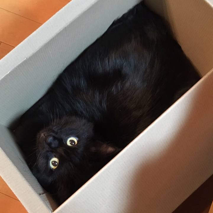 53d0de8c ceb0 4925 a8e8 db72102a1a0c