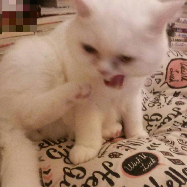 53d137e7 30bd 4dea ba0d 9d0dfff438b0